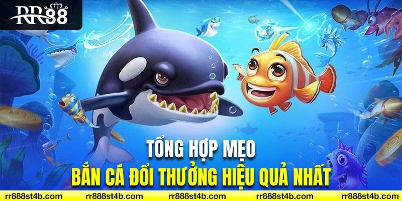 Tổng hợp mẹo bắn cá hiệu quả nhất